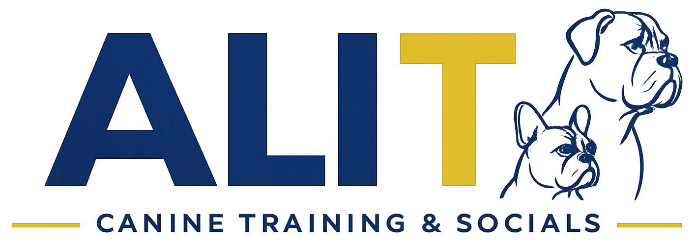 Ali T Logo