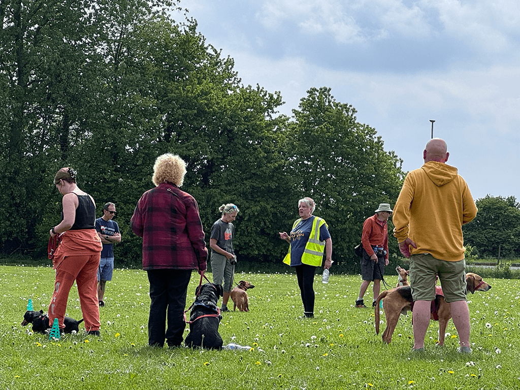 Ali T works with dogs of all breeds, ages and backgrounds.
