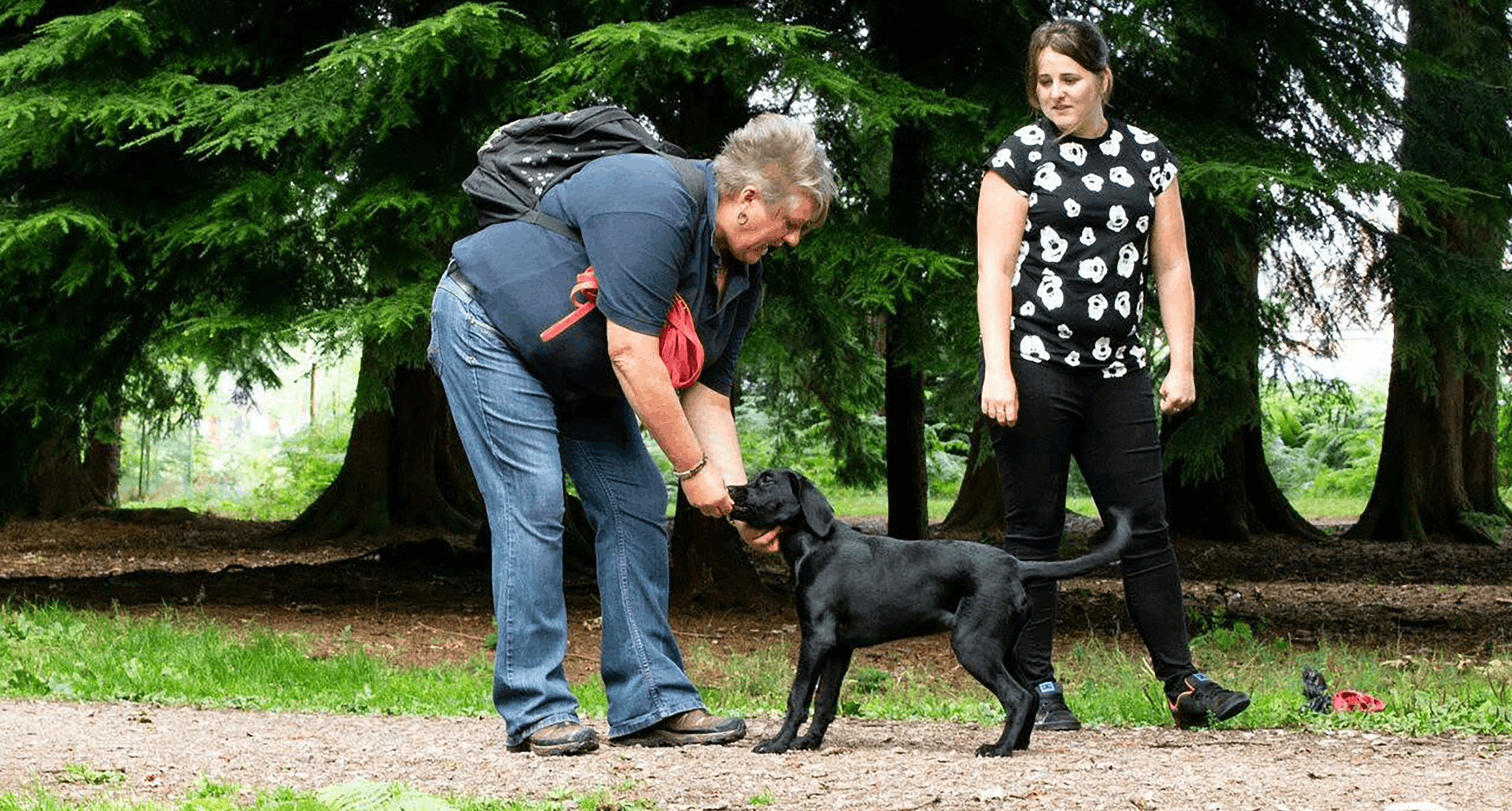 Ali T providing 1-to-1 dog training in the Forest of Dean, helping a dog and owner develop confidence and positive training skills.