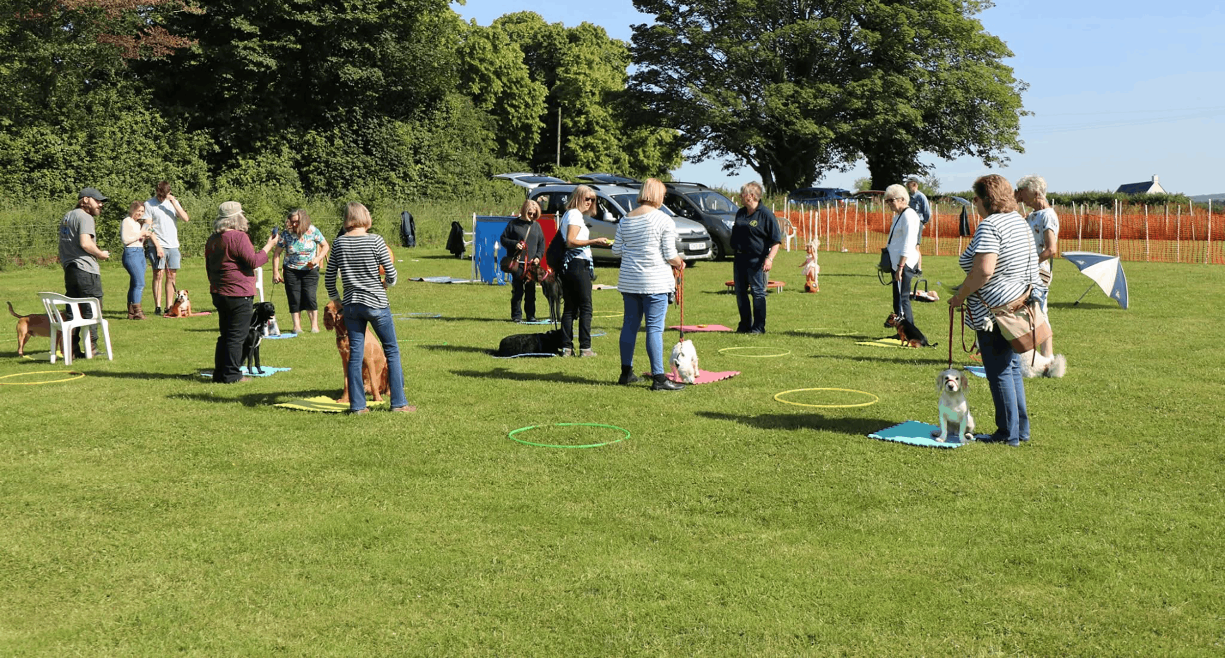 Ali T leading a weekend dog training class in the Forest of Dean, helping dogs and owners build confidence and practical training skills.